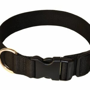 Obojok popruh 4 x 35 - 55 cm