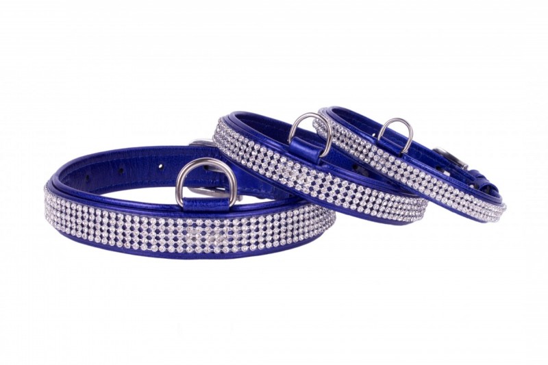 COLLAR Lesklý kožený obojok s kryštálmi, 27-36cm/15mm, modrá