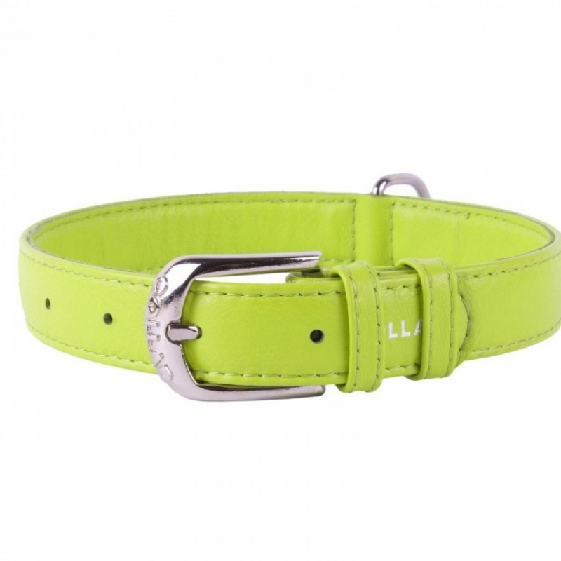 COLLAR Kožený obojok Glamour, 21-29cm/12mm, zelená