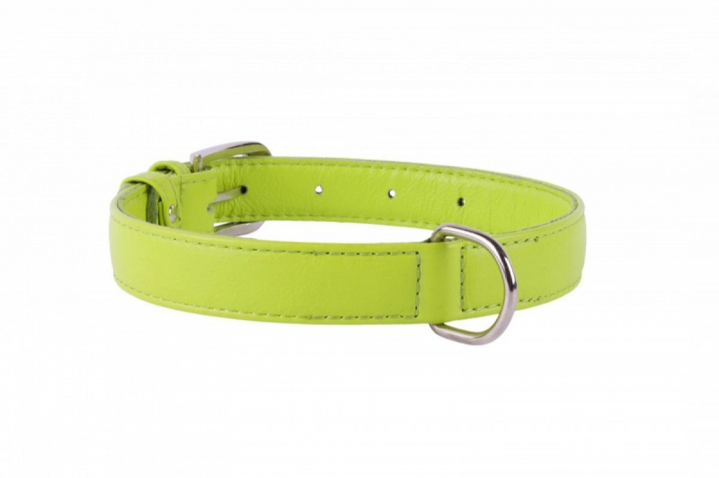 COLLAR Kožený obojok Glamour, 38-49cm/25mm, zelená