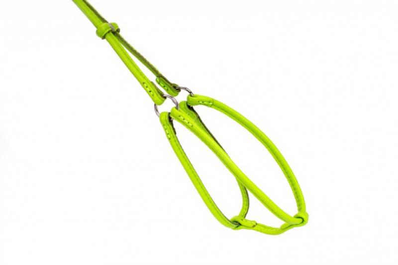 COLLAR Postroj okrúhly kožený s vodítkom, 46-66cm 40-60cm, zelená