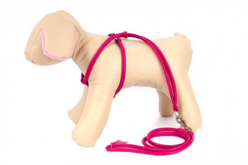 COLLAR Kožený postroj okrúhly s vodítko, 46-66cm 40-60cm, ružová