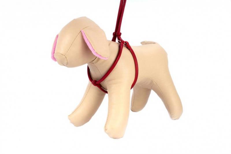 COLLAR Kožený postroj okrúhly s vodítkom, 46-66cm 40-60cm, červená