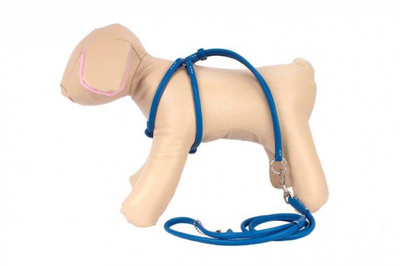 COLLAR Kožený postroj okrúhly s vodítkom, 27-35cm 22-32cm, modrá