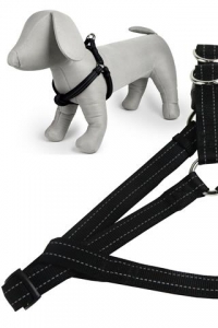 Papillon Postroj Nylon Black, 60-100 cm, čierna