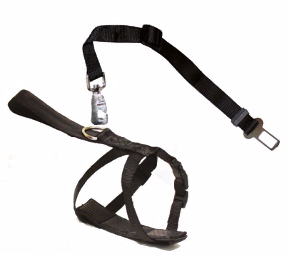 Postroj pre psa do auta Croci S 30-60 cm