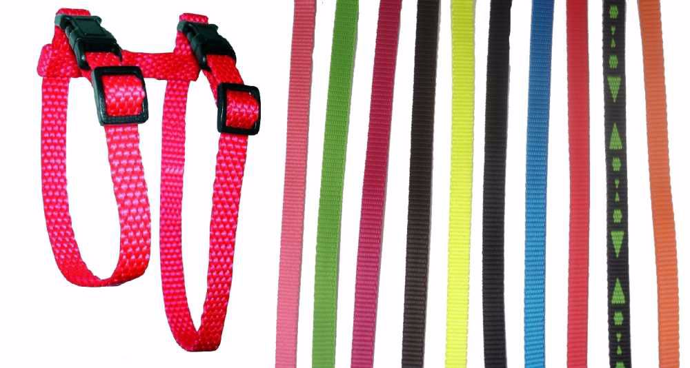 Postroj popruh králik, fretka