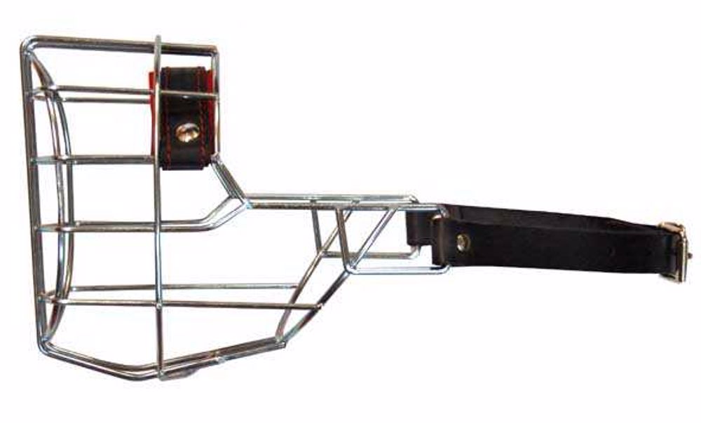 Náhubok zinok/kov bradáč stredný, pes