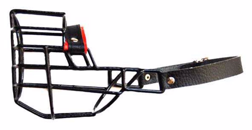 Náhubok čierny/kov bradáč malý, suka