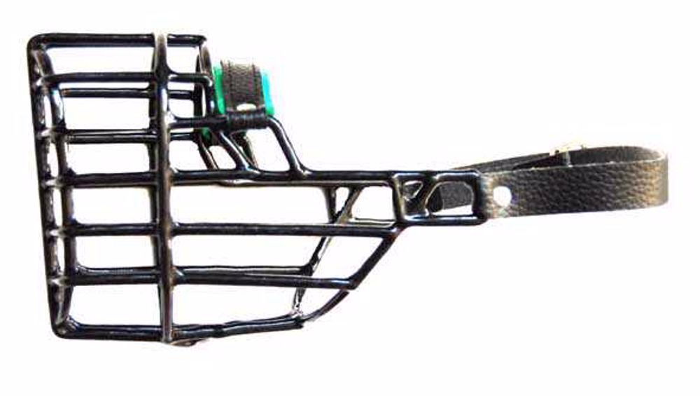 Náhubok čierny/kov bernardín, novofundlandský, sučka