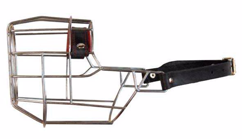 Náhubok zinok/kov bulteriér, sučka