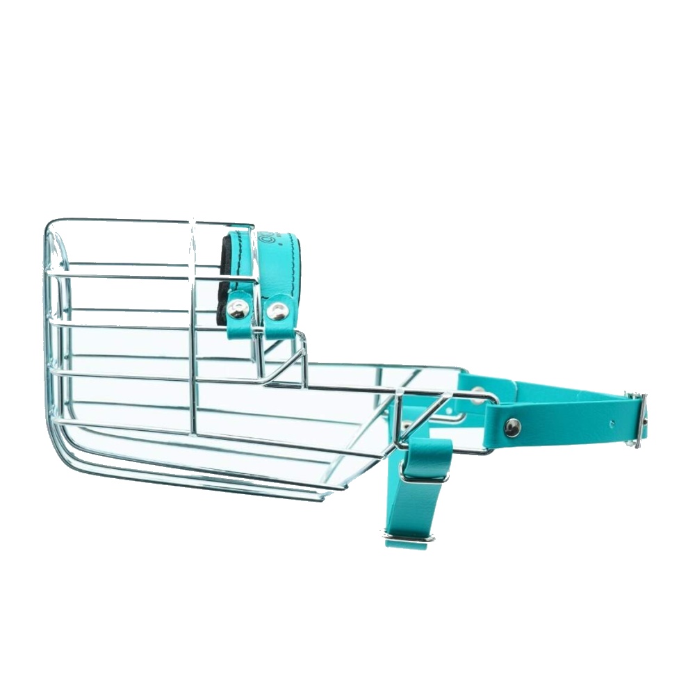 Náhubok zinok/Biothane pudel, jazvečík, pes