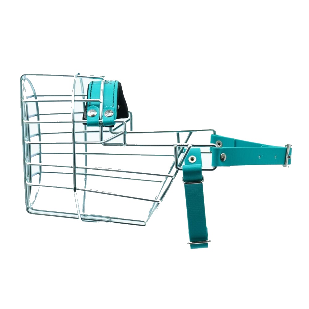 Náhubok zinok/Biothane kokeršpaniel, foxteriér, pes