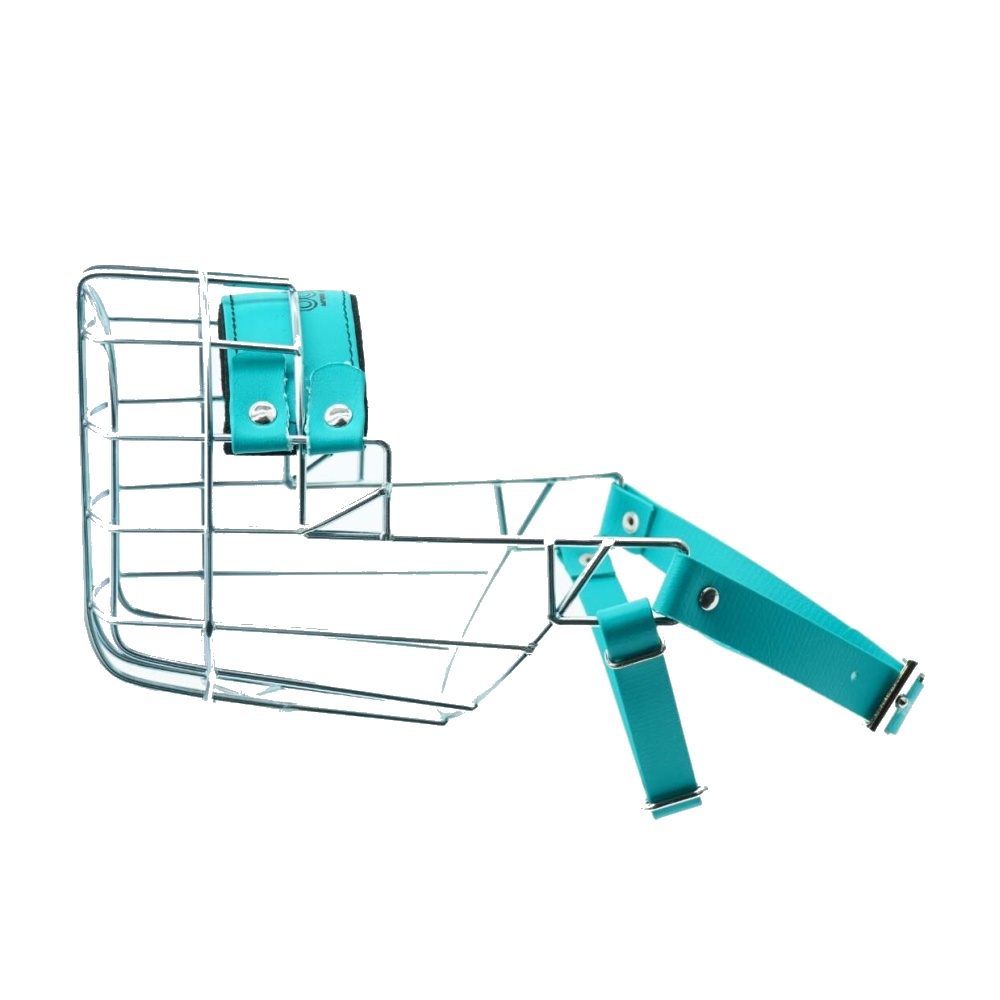 Náhubok zinok/Biothane pitbulteriér stagford, čau, sučka