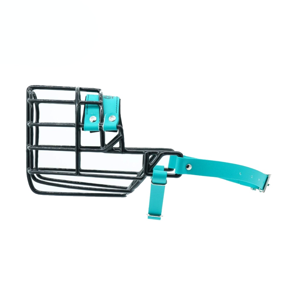 Náhubok čierny/Biothane kólia, belgický ovčiak, suka