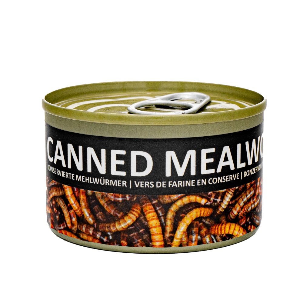 Múčne červy, konzerva 35 g