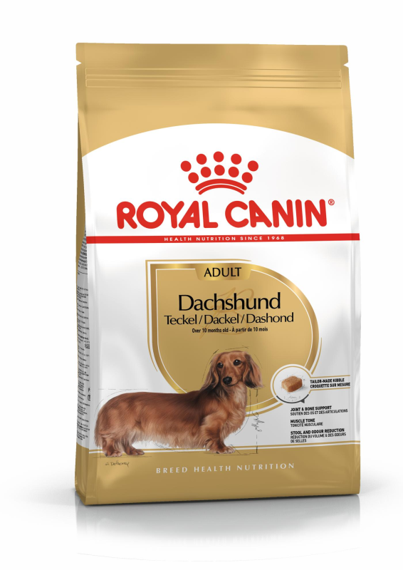 ROYAL CANIN Dachshund Adult granule pre dospelých jazvečíkov nad 10 mesiacov - 2 kg