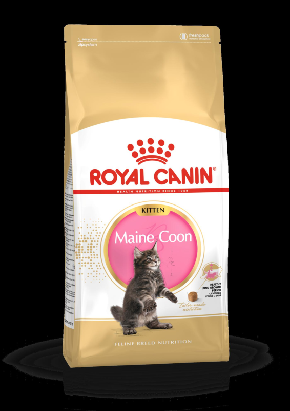 ROYAL CANIN Maine Coon Kitten granule pre mačiatka Mainské mývalie do 15 mesiacov - 2 kg