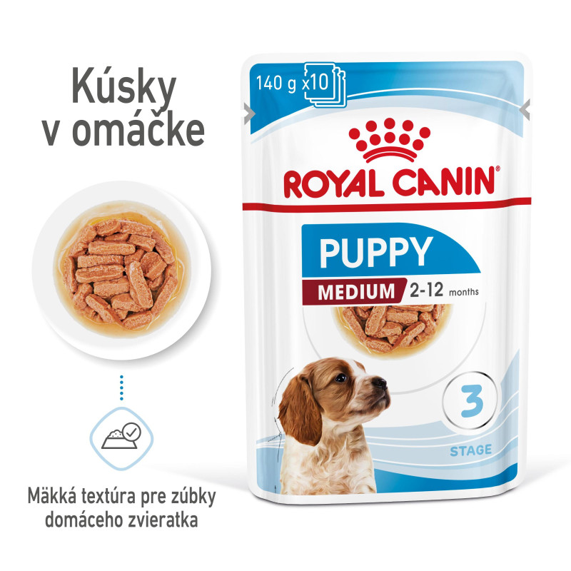 Medium Puppy 10x