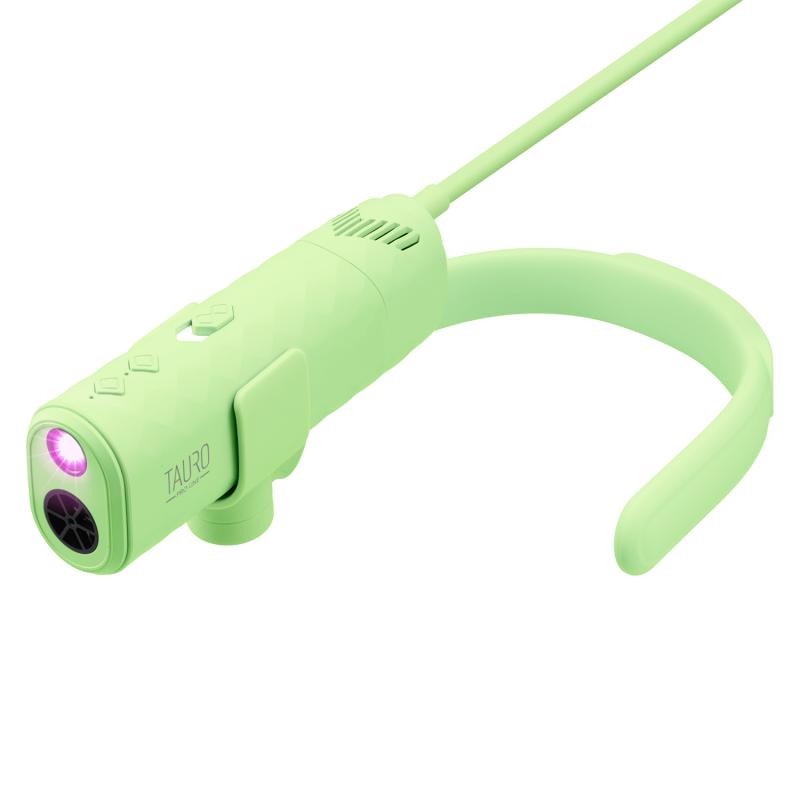Fén TAURO PRO LINE s držiakom na krk a UV svetlom - zelený
