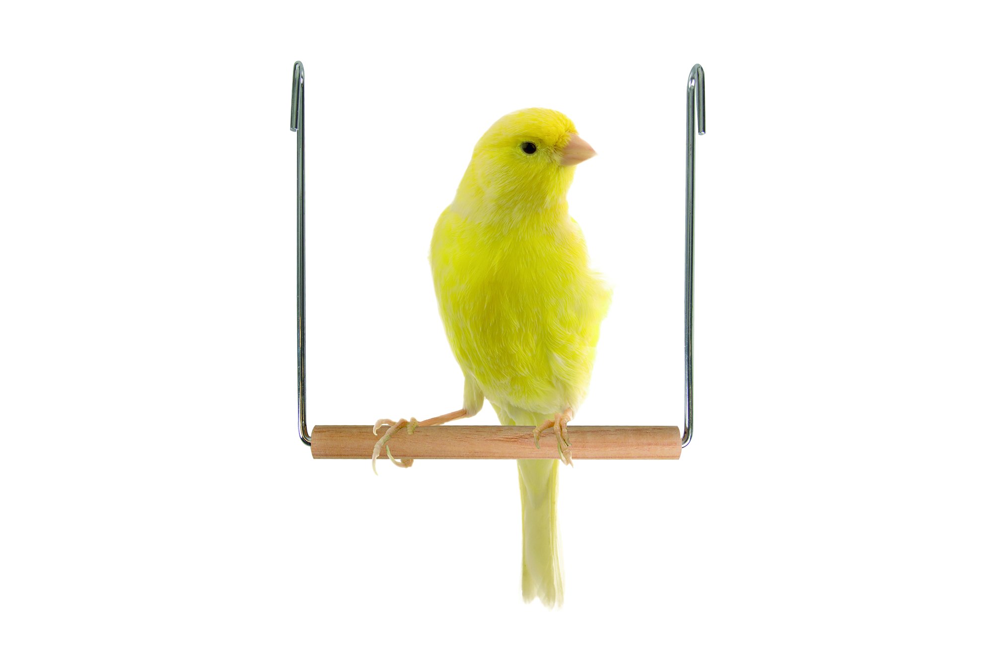 Karlie Trapézová hojdačka pre vtáky 13cm